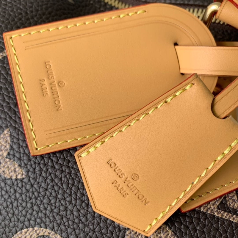 LV Travel Bags